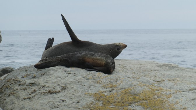 EA4BAC3B-E373-43BF-AA05-BC05611590D9