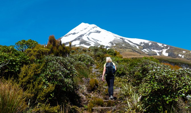 EAC45DEE-EFDD-4259-92A6-FDD171EA4935