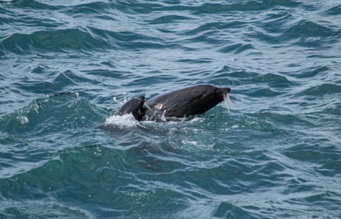 EBFAD1CD-1C3D-4BDE-8609-FA0662F09D34