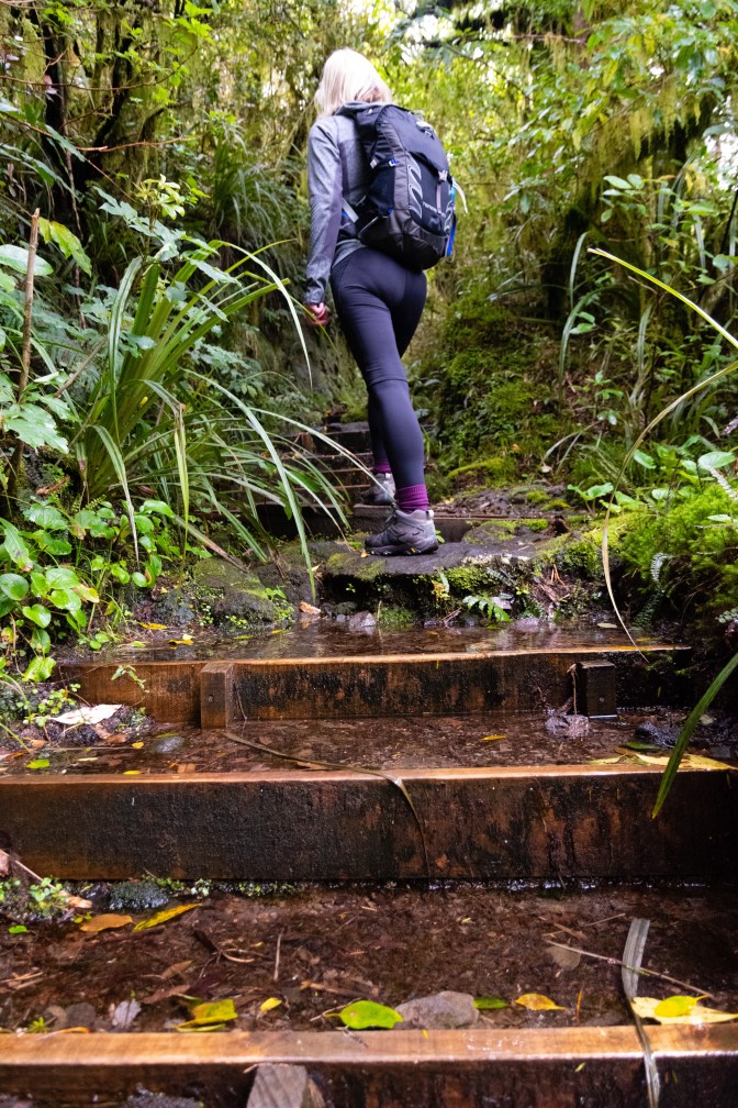 F73C0060-3887-46FF-97E4-5B6C31219393