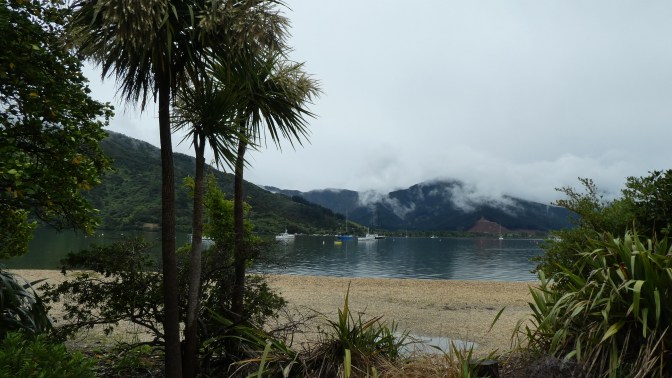 FADE0CBA-98F8-4077-A31A-CD8442E9A5AD