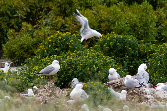 FC47D8DF-C5BA-4E65-AA06-0CB56EE24706