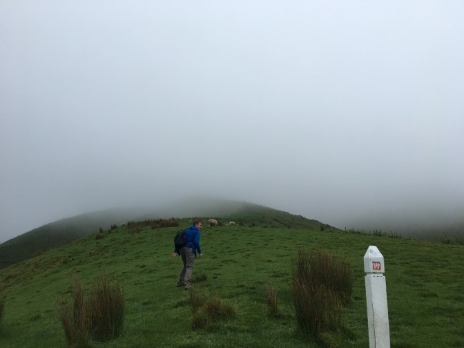 FC9F6DA0-10F2-4819-874F-7304AFD9DDDC