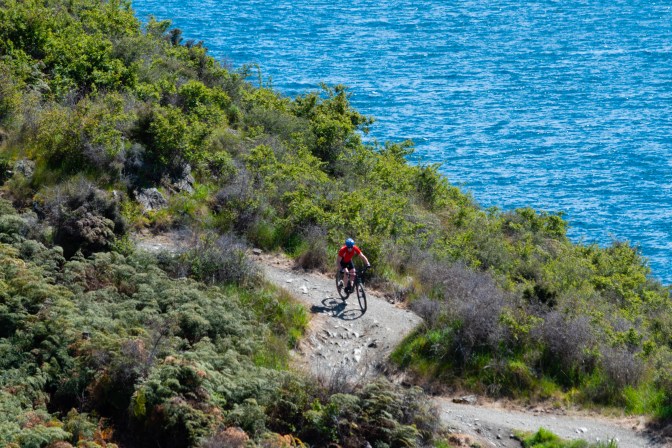 FE85215E-69A7-469E-AE8D-42C755A0CF2C