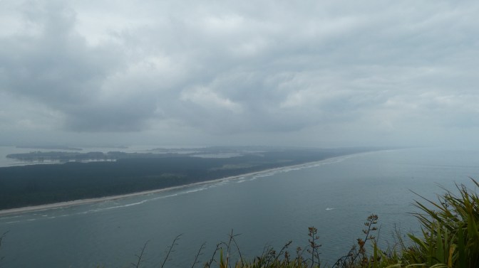 0BCF7D75-1F50-4241-A0FB-150E21473FC8