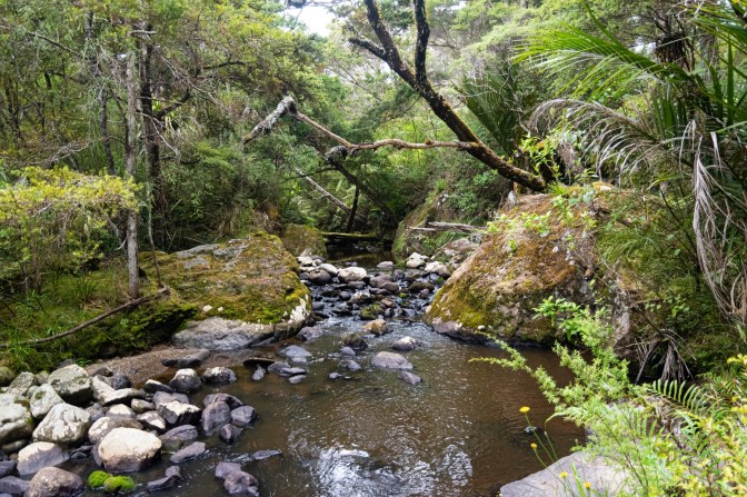 10287B89-190F-4A4A-A841-EEE3268E92F9