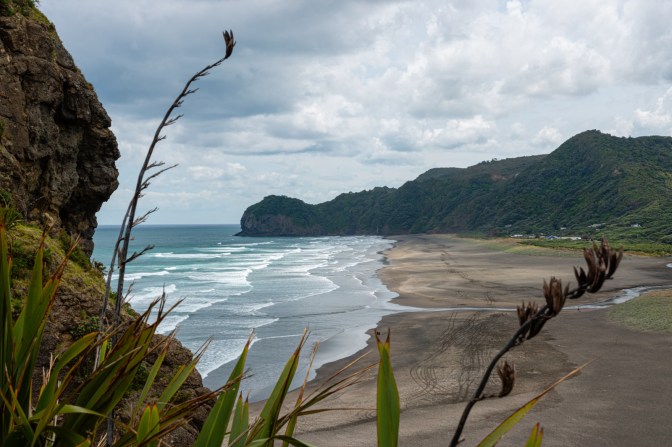 12F7008A-118D-4BC3-8CE8-DCFB21A5B96C