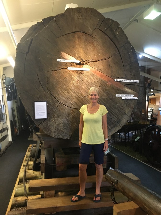 1729E503-7DDB-4B65-9927-A421D74B6996