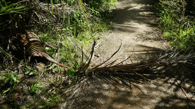 1A22CA28-A50D-44FF-8927-CA786F2C34E1