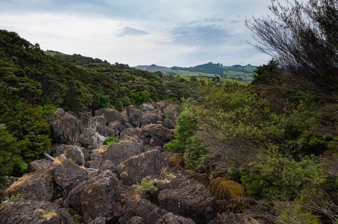 1A4BD7A7-55C8-42F0-B776-6AA925427C22