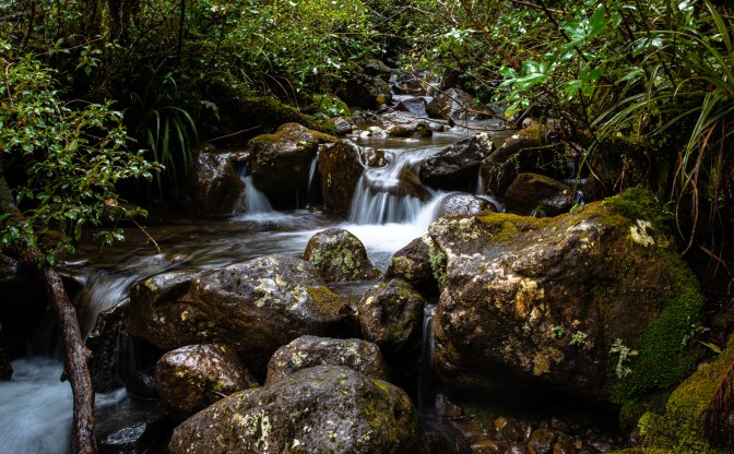 1AF5D95E-C1BA-479B-94A3-E569C5A5DCE3