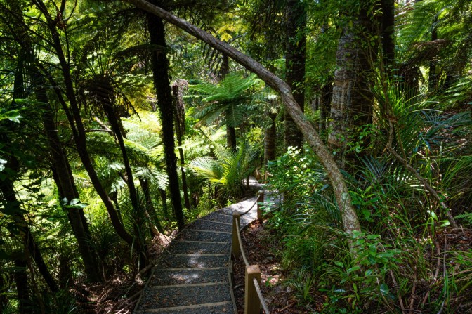 1B55A2E0-F2BE-4C3A-8AE1-8ED998724699