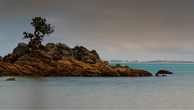 25D79D79-037C-496E-AEAB-789E383C567A