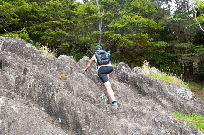 2AE2FC32-17EB-40D2-8D0C-7C5F1DF63D82