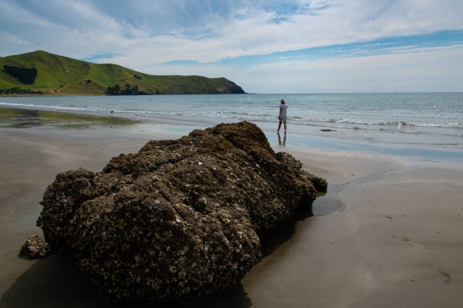 2B15BB54-6193-4F0A-8B3B-68E18E90DDFE