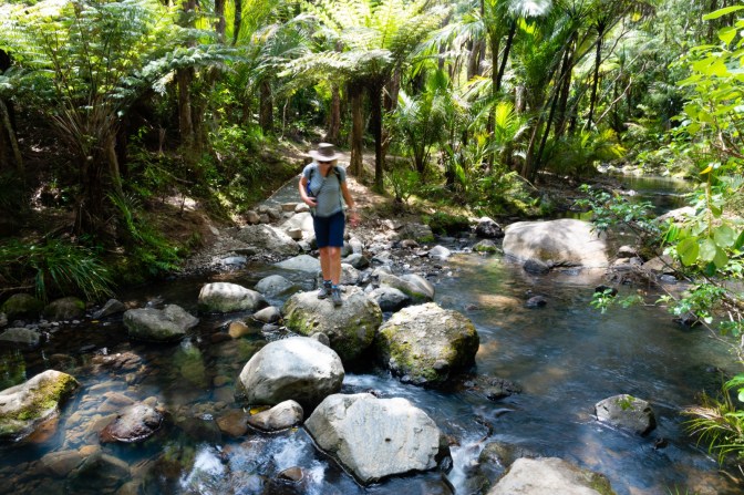 2B2CFCC5-9090-42F5-BD9E-E238B109EBF8