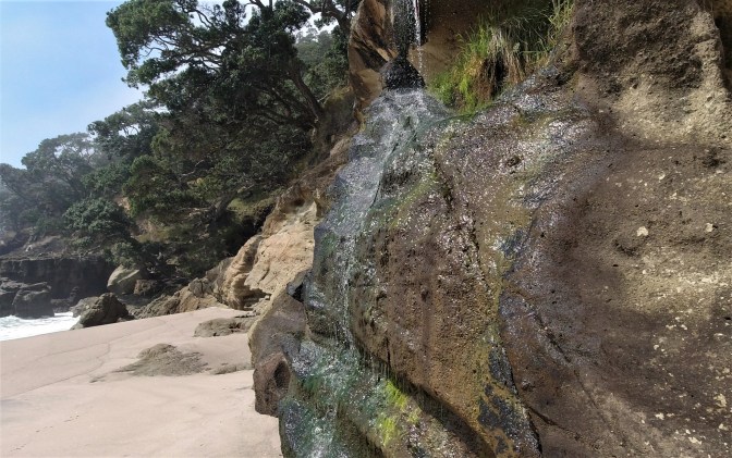 2CA8DCAA-5C0B-46BB-B233-11C363874324