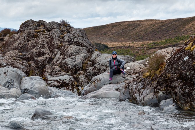 333D256A-5287-4079-9E80-CF262342093E