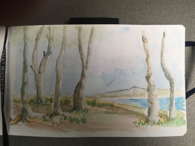 35023079-5EAF-4F91-977D-4117C3570A30