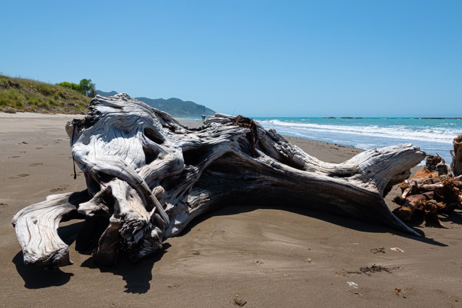 3855B818-EA27-497F-A306-A29975AD16DA