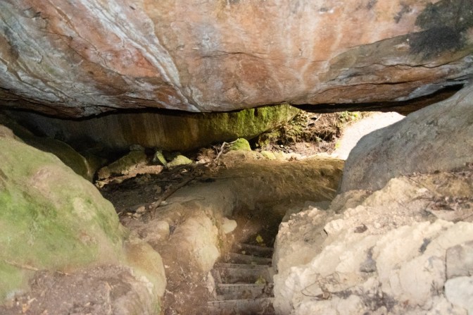 38D01E7F-C76B-44E6-A08F-80EFEFC54B12