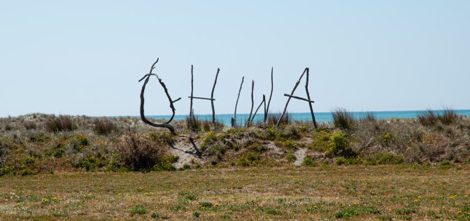 3E1F8620-1F74-4D96-B584-F8105CDE0BE6