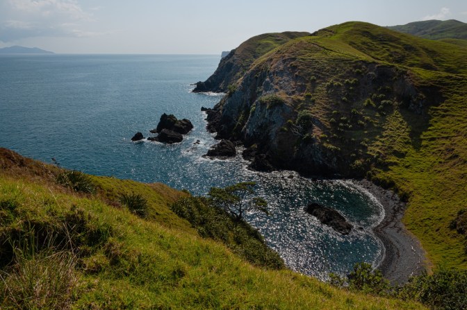 419C8C2A-0383-4524-A3CE-DA4587828F1A