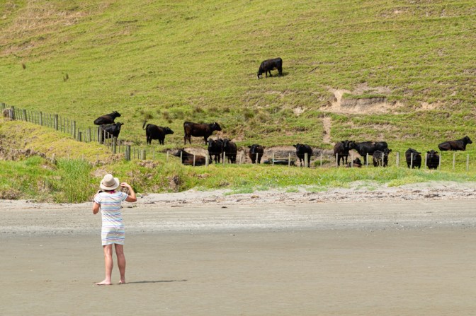 4393DE24-5D7B-42D8-8B39-E6B49FE8D72D