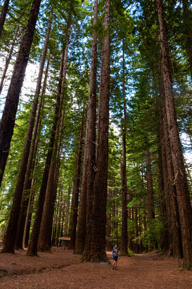 43A64B80-AA89-461A-ADDC-D5B8464D7C3C