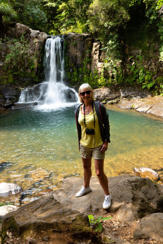 43F51FD7-A904-424E-B469-13AAF68EEBEB