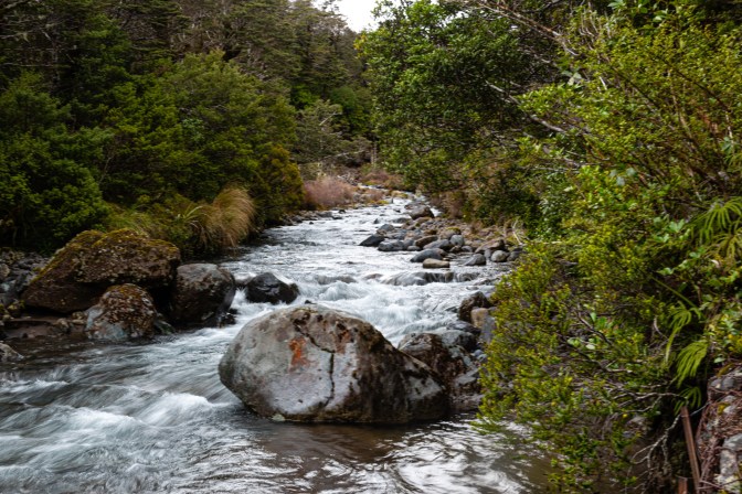 45F26C86-1C55-4F25-881A-47AF4EFAA069