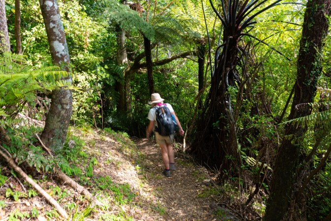 46E9755E-F6F8-4C29-9133-5A608B7F92FF