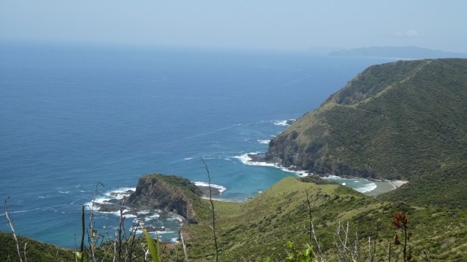 47708931-AA30-4E4C-A94D-9DDB47CD017C