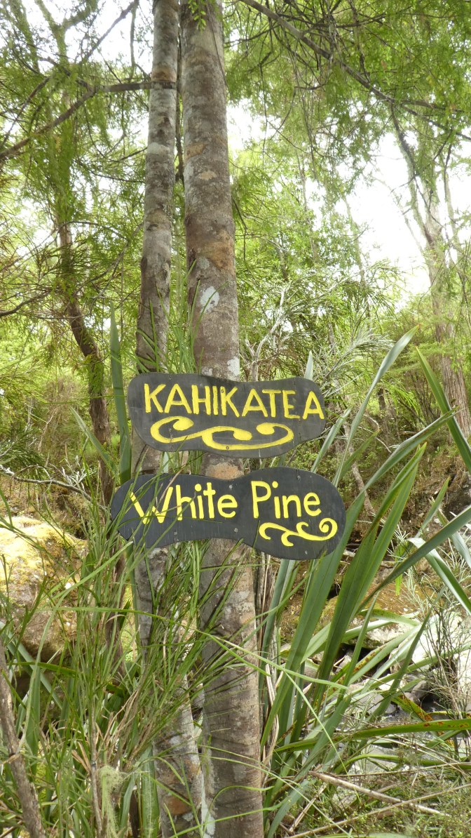 4A38172B-6971-4732-A689-2C4C9915DC13