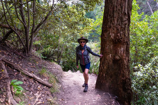 4C07C41F-F18B-48AE-96EE-AB07929F6629