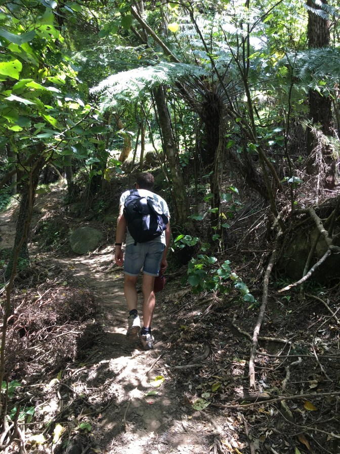 4D1703D9-D875-4EEE-993E-B930590D1720