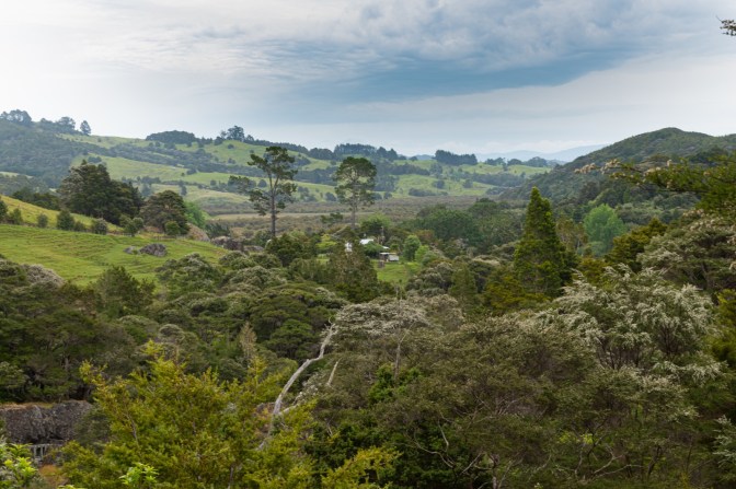 4E99E5E4-82D9-4883-ACBA-1AD0BC72F89D