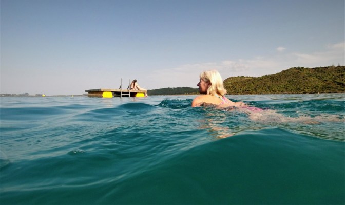 4ED16D7A-EAE6-45CA-B495-2070E82441BB