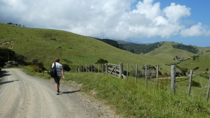 4F668C22-8A26-4592-960B-95376048408A