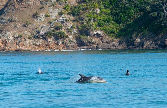 52CAB447-B420-4672-B171-9156087CCAF5