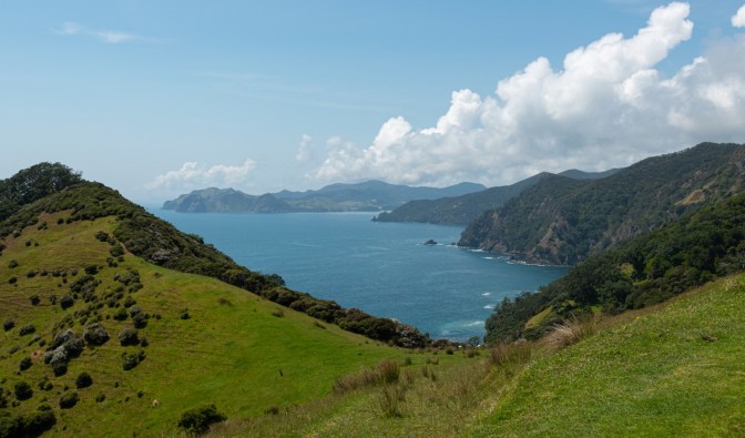 5BA4DDD8-81AA-4949-8D10-6E9E0DA972D4