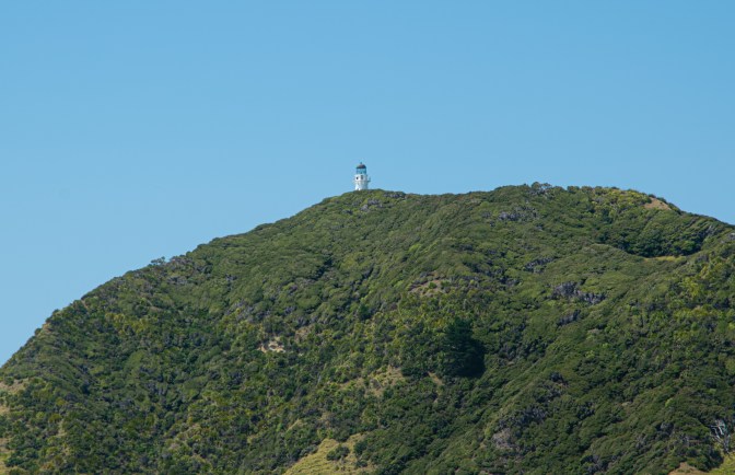 5C8CA2C2-DB42-4399-94A5-AD294798CD3B