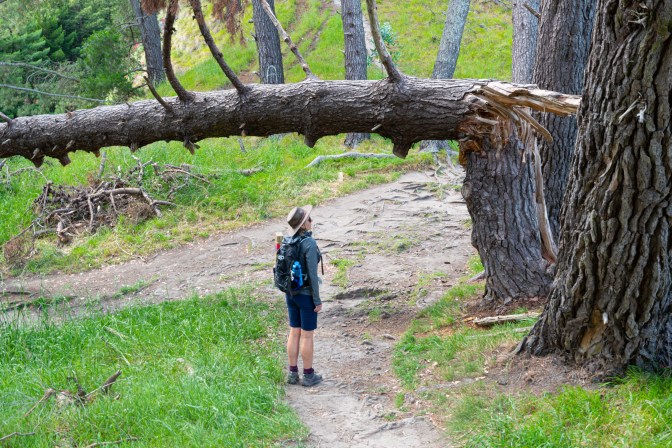 5D91FA65-49EF-4BF5-A5D7-CDE1601E2586