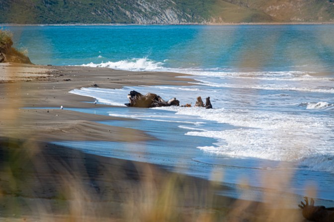 5E2B4D63-8E5B-4368-8493-6280A694FB1B