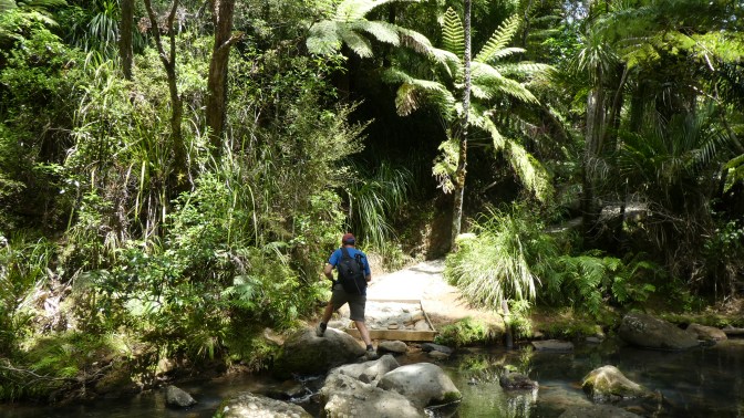 61ADCF36-B4B9-4E70-BA03-51D61389723B