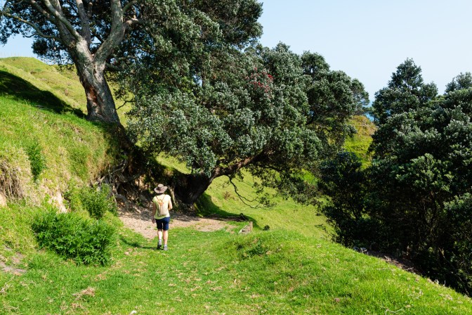 66984226-6F8D-442B-A68D-6327AF67E9CD