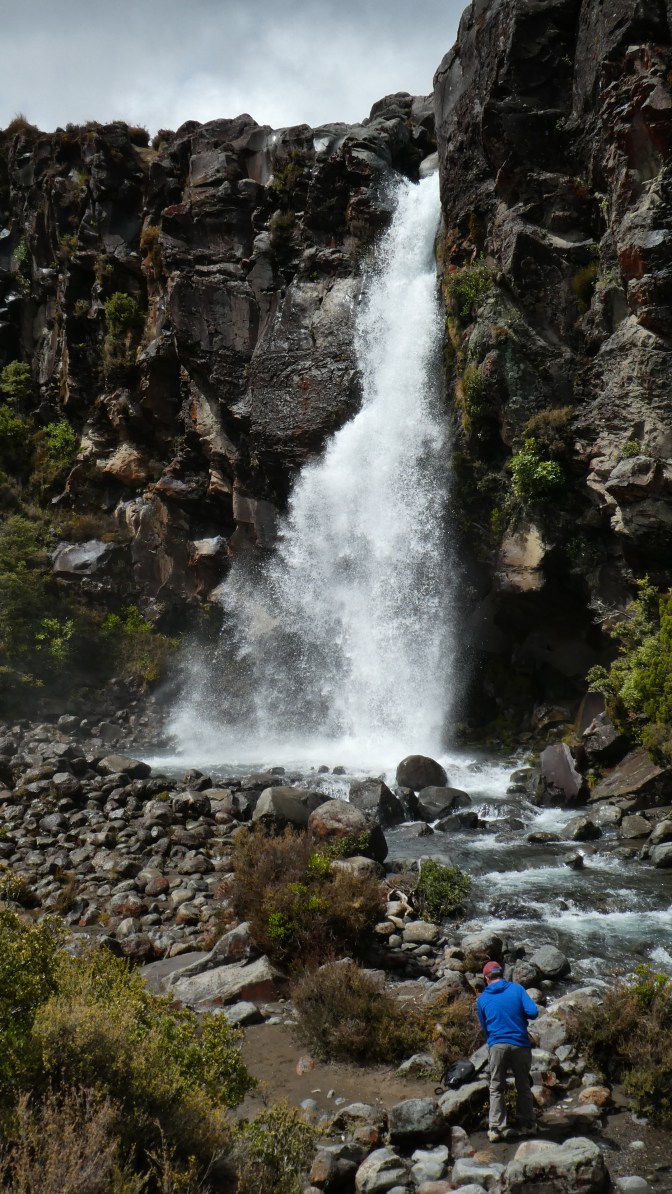 672E506A-2DB9-4B89-83EB-3680D5D7308D