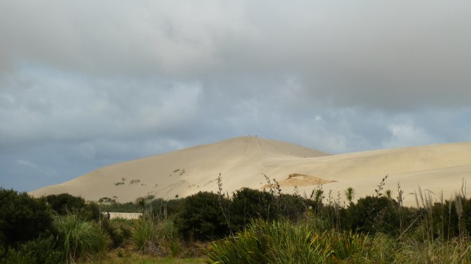 6C032E28-728D-49EF-BB34-0CAF23D65FD4