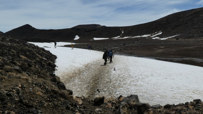 6E1D80E5-3245-43EE-9777-9F8D21C5F155