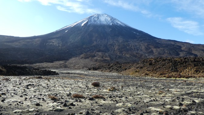 6F02A054-872F-40FB-B0D6-764A37DEC6DC